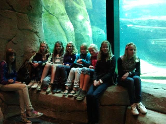 Diep in de Zee, KiVaDa 2012